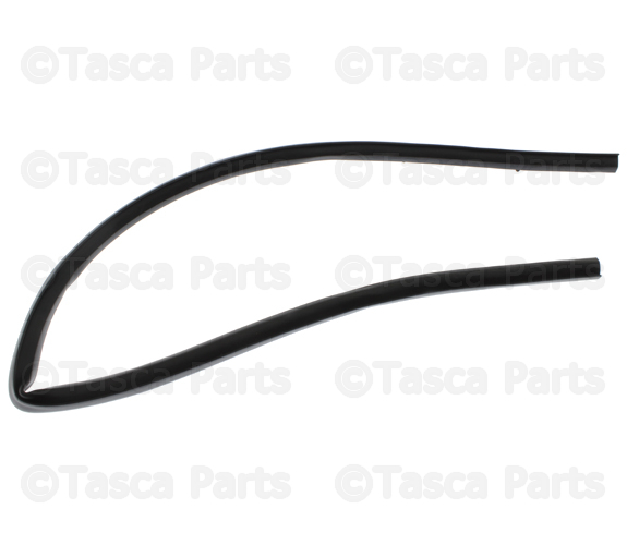 658101PA0A - : Hood Seal for Nissan Image