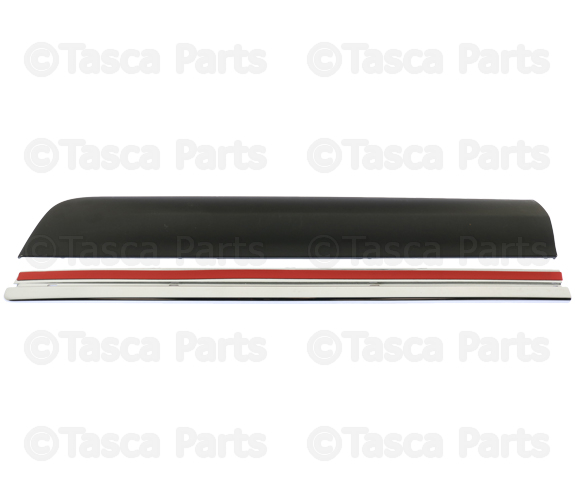 2009-2013 GM Primed Rear Driver Side Door Center Molding with Insert ...