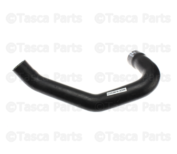 52028265AD - : Radiator Hose, Lower for Jeep: Wrangler Image