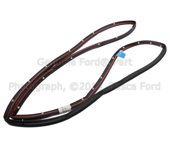 BM5Z5820709B - Body: Door Weather-Strip for Ford Image