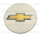 20914866 - Suspension: Center Cap for GM Image