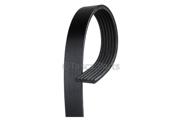 12576750 - Cooling System: Serpentine Belt for GM Image