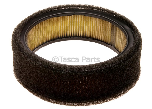 25043317 - Air &amp; Fuel Delivery: Engine Air Filter for Buick: Century, Skyhawk, Skylark | Chevrolet: Celebrity, Citation II | Oldsmobile: Cutlass Ciera, Cutlass Cruiser, Firenza | Pontiac: 6000, Fiero, LeMans, Sunbird Image