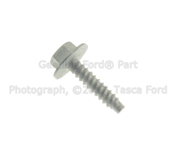 W704875S439 - Electrical: Screen Screw for Ford: Bronco Sport, E-Transit, Escape, Expedition, Explorer, F-150, F-150 Lightning, F-250 Super Duty, F-350 Super Duty, F-450 Super Duty, Maverick, Police Interceptor Utility, Transit-150, Transit-250, Transit-350, Transit-350 HD | Lincoln: Corsair, MKZ, Navigator Image