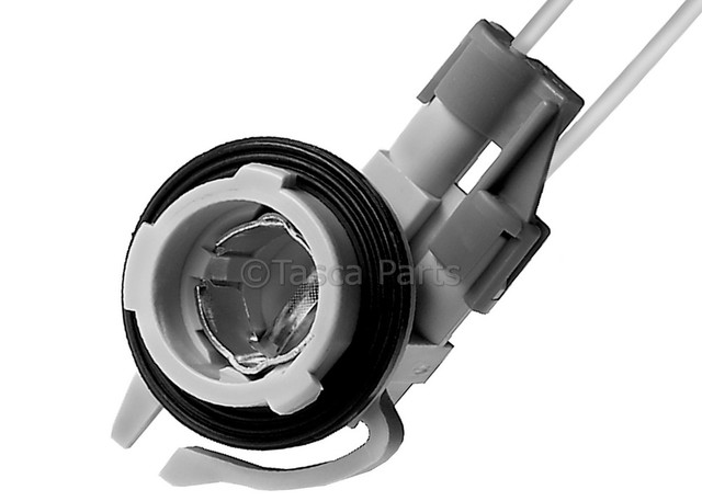 12141301 - Electrical: Back Up Light Socket for GM Image
