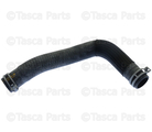 21503EZ32A - : Lower Hose for Nissan: TITAN Image