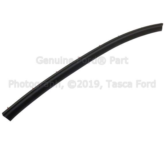 JR3Z16A239A - Body: Side Seal for Ford: Mustang Image