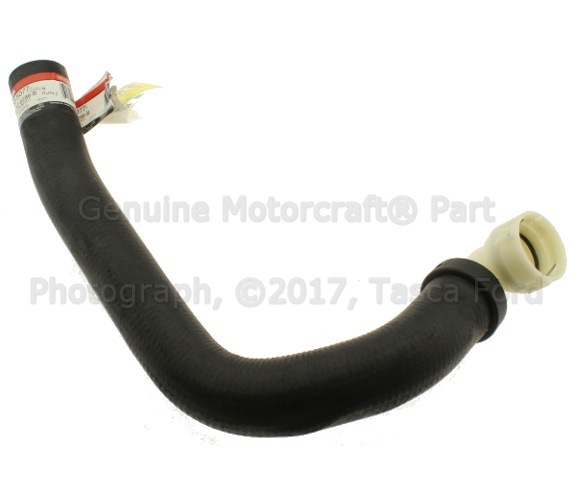 BL3Z8286B - Cooling System: Lower Hose for Ford Image