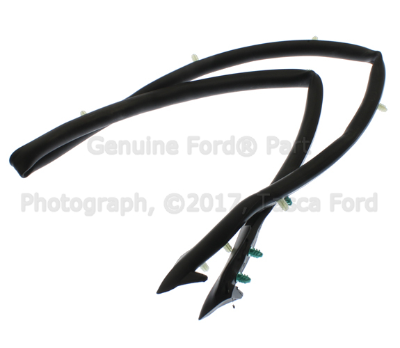 FR3Z16A238B - Body: Front Seal for Ford: Mustang Image