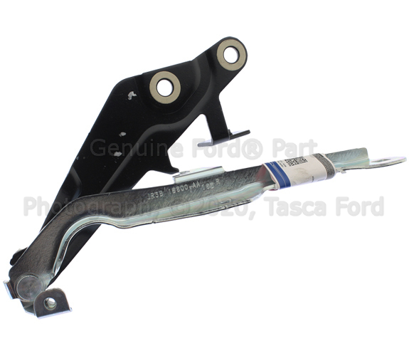 JR3Z16796A - Body: Hinge for Ford: Mustang Image