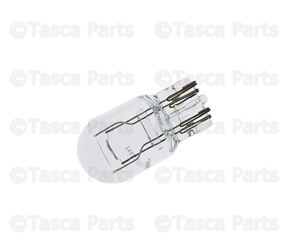 L0007443 - Electrical: Side Marker Bulb for Chrysler: Pacifica, Voyager | Fiat: 500 | Jeep: Compass, Gladiator, Wrangler | Ram: 1500, 2500, 3500, ProMaster 1500, ProMaster 2500, ProMaster 3500, ProMaster EV Image