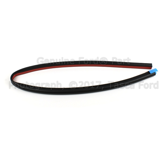 5L3Z16253A40AA - Body: Door Weather-strip for Ford: F-150 | Lincoln: Mark LT Image