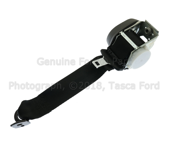 CP9Z54611B68EA - Electrical: Outer Belt Assembly for Ford Image