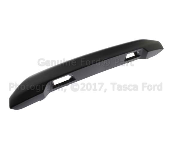 DT1Z15A201AA - Body: Molding for Ford Image