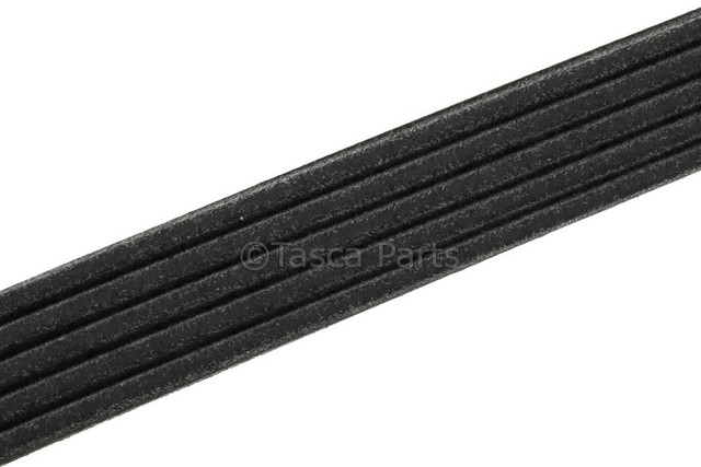 24466974 - Cooling System: Serpentine Belt for Saturn: L100, L200, L300, LS, LS1, LW1, LW200 Image