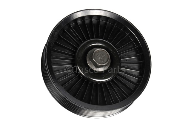25180907 - Cooling System: Idler Pulley for Chevrolet: Aveo, Aveo5 Image