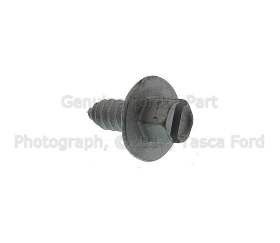 N807572S439 - Body: License Bracket Screw for Ford: Bronco, Edge, Escape, Explorer, Flex, Focus, Maverick, Mustang, Mustang Mach-E, Police Interceptor Utility, Ranger, Taurus | Lincoln: Corsair, MKS, Nautilus Image