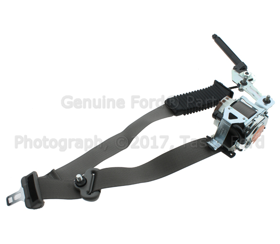 FL3Z16611B08AA - Electrical: Outer Belt for Ford: F-150 Image