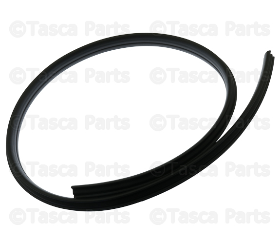 31256242 - : Surround Weather-Strip - Driver's Side (LH) for Volvo Image