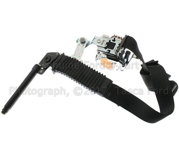 FL3Z16611B09AC - Electrical: Outer Belt for Ford: F-150 Image