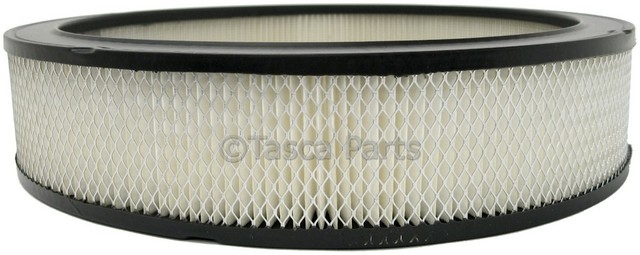 6421746 - : Air Filter for Cadillac: Seville Image