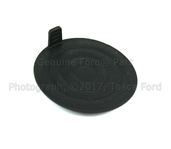 AG1Z54047A74AA - Body: Finish Panel Insert for Ford Image