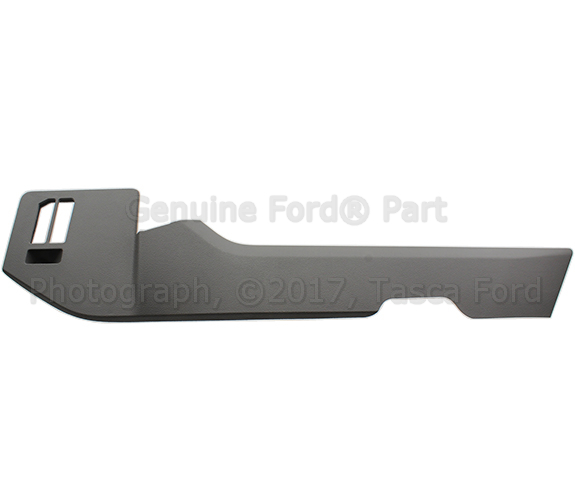 FL3Z1504609CF - Body: Side Trim for Ford: F-150 Image