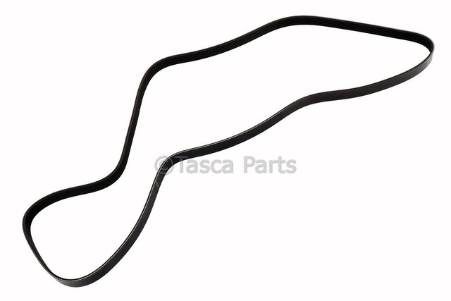 12639018 - Cooling System: Serpentine Belt for GM Image