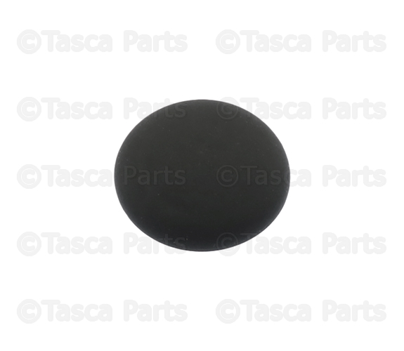 Multi-Purpose Plug 20848733 | TascaParts.com