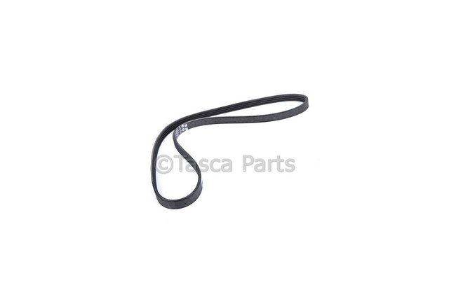 19172680 - : V-Ribbed Serpentine Belt for GM Image