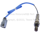 HC3Z9G444C - : Oxygen Sensor for Ford Image