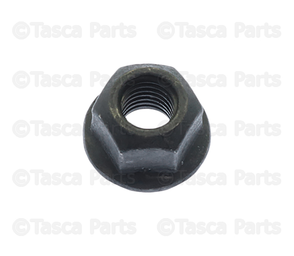 Nuts 2007-2025 GM Multi-Purpose Nut 11588835 | TascaParts.com