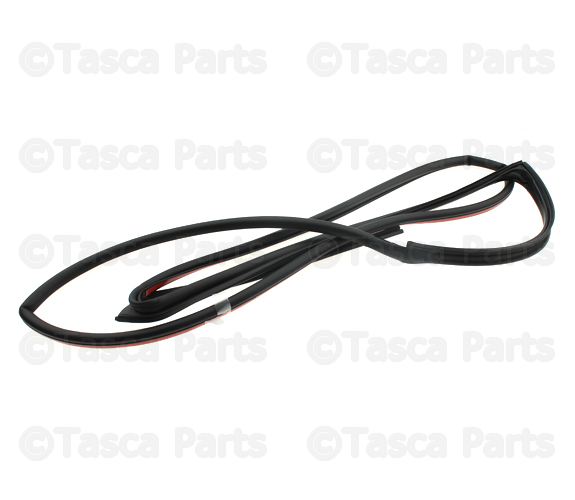 30762361 - : Door Seal for Volvo Image