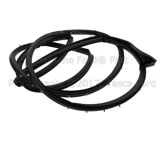 4C2Z1520531AA - Body: Door Weather-strip for Ford: E-150, E-150 Club Wagon, E-250, E-350 Club Wagon, E-350 Super Duty, E-450 Super Duty Image