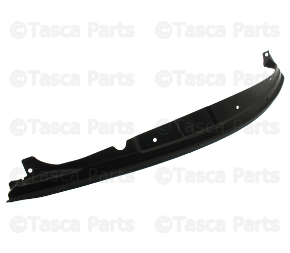 2011-2023 Dodge Charger Weatherstrip, Right 68040048AC