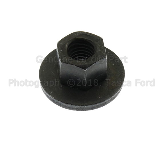 W716538S450B - : Hinge Nut for Ford: Expedition, F-150, F-150 Lightning, F-250 Super Duty, F-350 Super Duty, F-450 Super Duty | Lincoln: Navigator Image