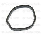 55562045 - Cooling System: Water Outlet Gasket for GM Image