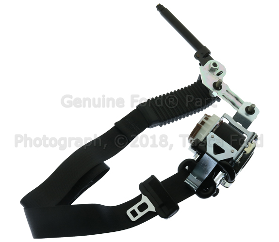 FL3Z16611B08AC - Electrical: Outer Belt for Ford: F-150 Image