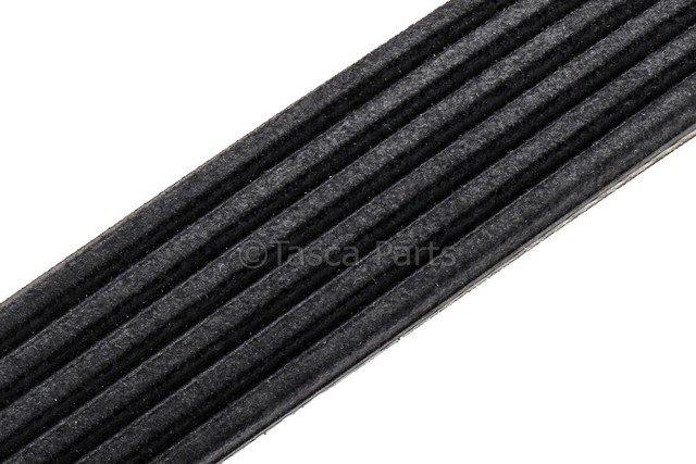 55567574 - : Accessory Drive Belt for GM Image