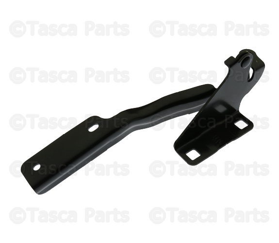 F54013LMMC - : Hinge - Driver's Side (LH) for Nissan Image