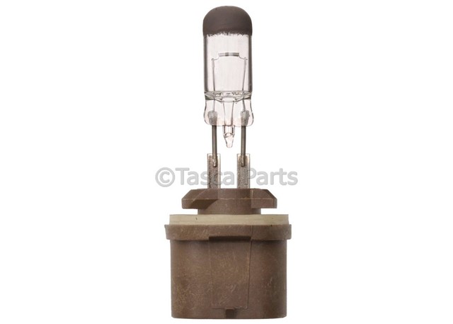 19257057 - Electrical: Fog Lamp Bulb for GM Image