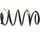 AG1Z5310B - Suspension: Coil Spring for Ford: Taurus Image
