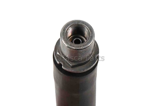 20842848 - Brakes: Brake Hose for GM Image
