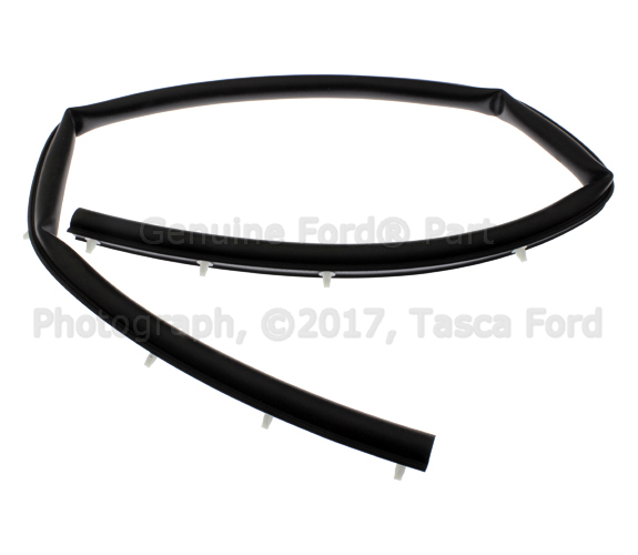 BT4Z16A238A - Body: Front Seal for Ford: Edge | Lincoln: MKX Image