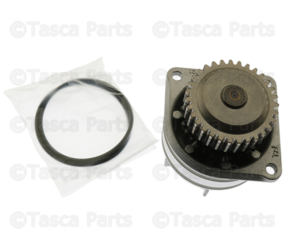 B1010AL50B - : Water Pump for Nissan Image