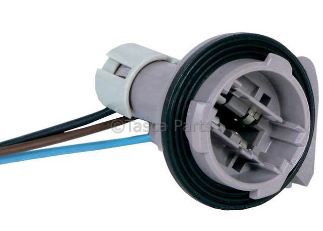 88953356 - Electrical: Socket for Cadillac: DeVille | Chevrolet: G10, G20, G30, Impala, Lumina APV, P30, R2500, R3500, S10, V3500 | GMC: Envoy, Envoy XL, G1500, G2500, G3500, P3500, R2500 Pickup, R3500 Pickup, Sonoma, V3500 | Oldsmobile: Silhouette | Pontiac: Grand Prix, Trans Sport Image