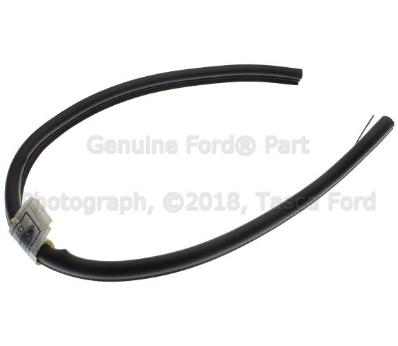 DT1Z6125030D - : Inner Weather-Strip - Driver's Side (LH) for Ford Image