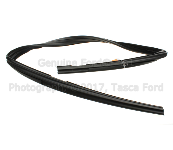 AE5Z5421597A - Body: Run Channel for Ford: Fusion | Lincoln: MKZ, Zephyr | Mercury: Milan Image