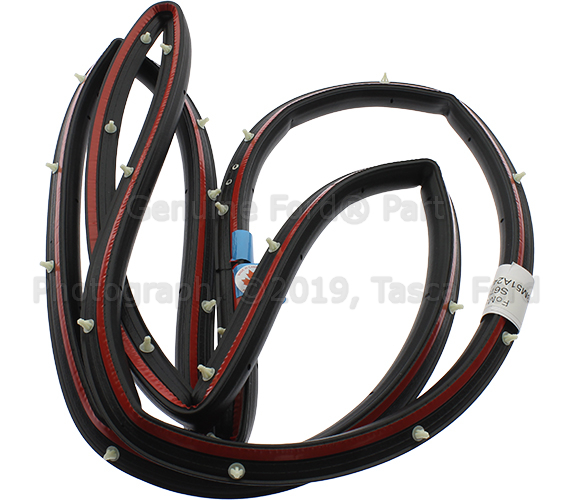 BM5Z58253A10B - Body: Door Weather-strip for Ford Image