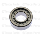 P50617180 - Transmission: Manual Transmission Counter-shaft Bearing for Mazda: B2300, B2500, B3000, B4000, MX-5 Miata, RX-8 Image